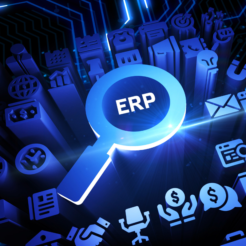 ERP Consultant